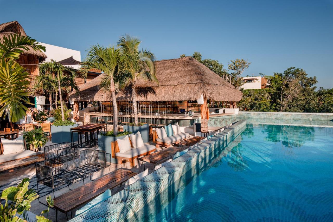 Mayan Monkey - Social (adults Only) Hostal *
