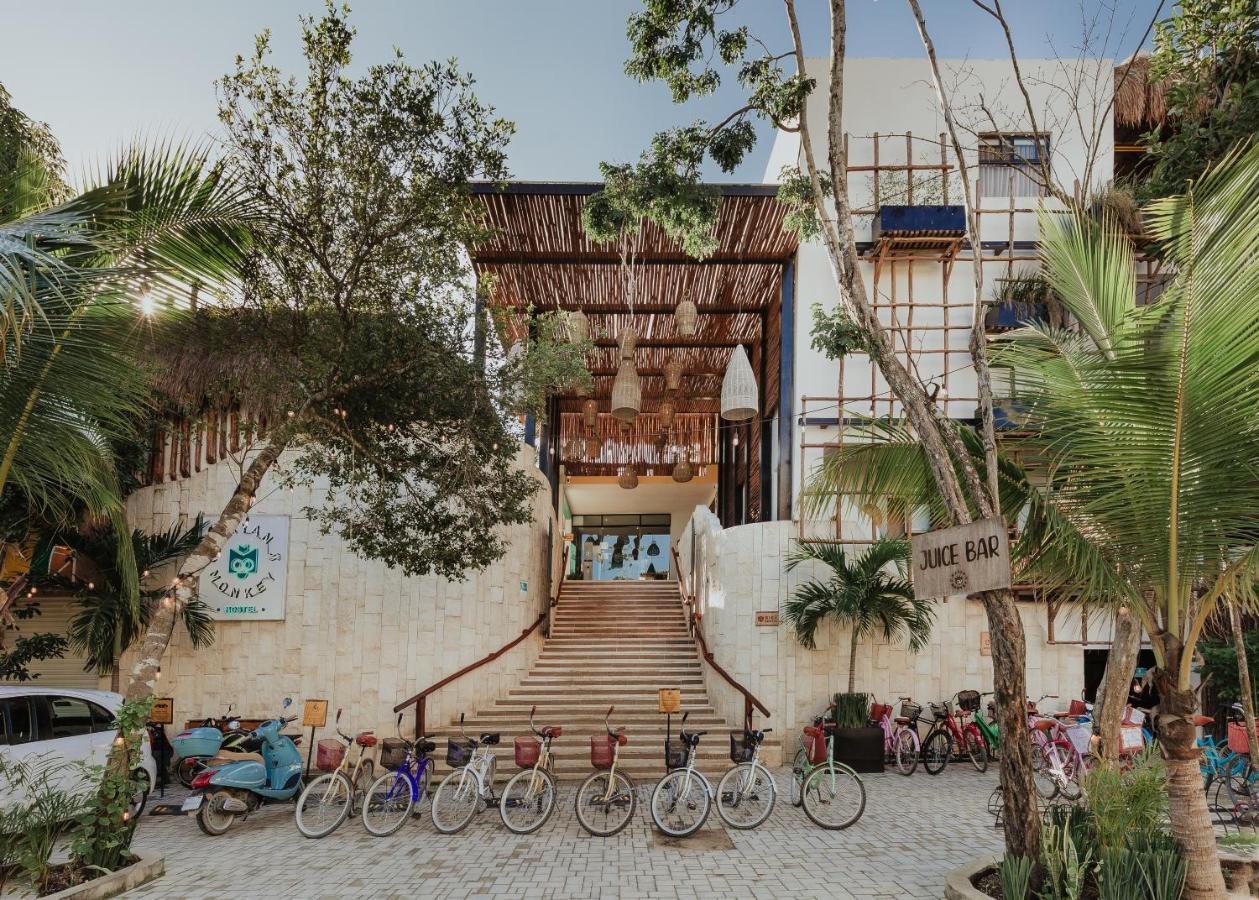 Mayan Monkey - Social (adults Only)