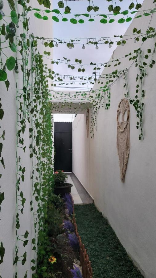 Casa Neptuno Habitación en casa particular Tulum
