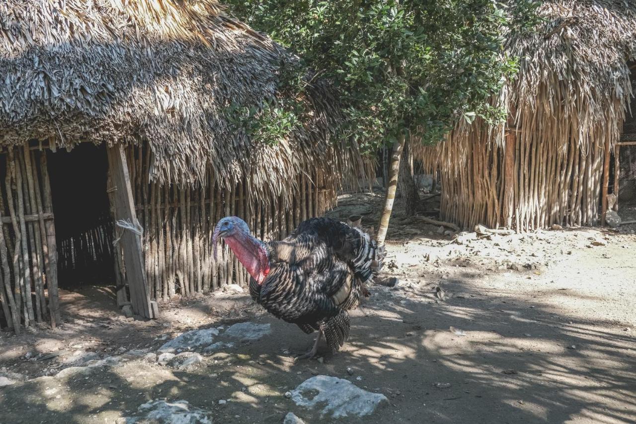 Wakax Hacienda 5* Tulum