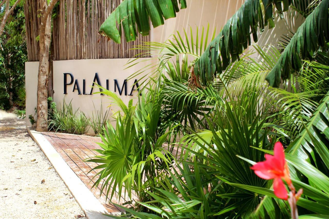 Amazing In Palalma Tulum