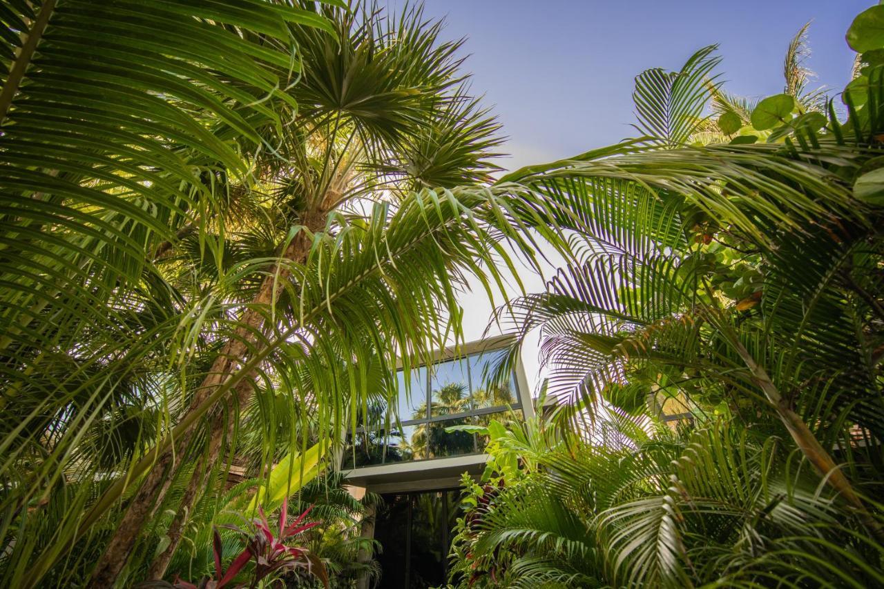 Casa Malca Tulum