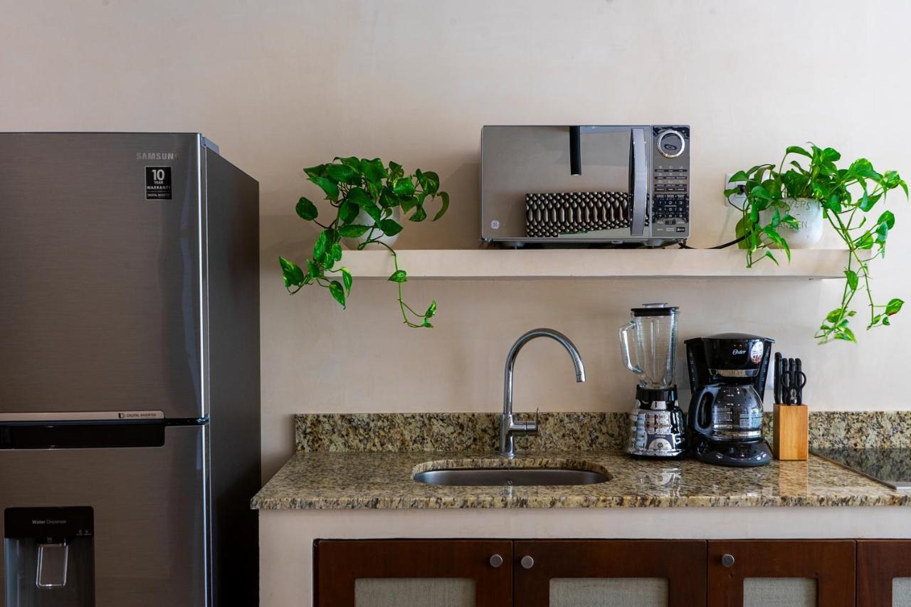 1br With Private Pool And Rooftop Access A103 Apartamento Tulum
