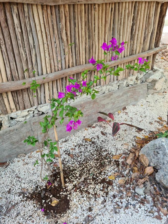 Aldea Yuyu Bed & Breakfast Tulum
