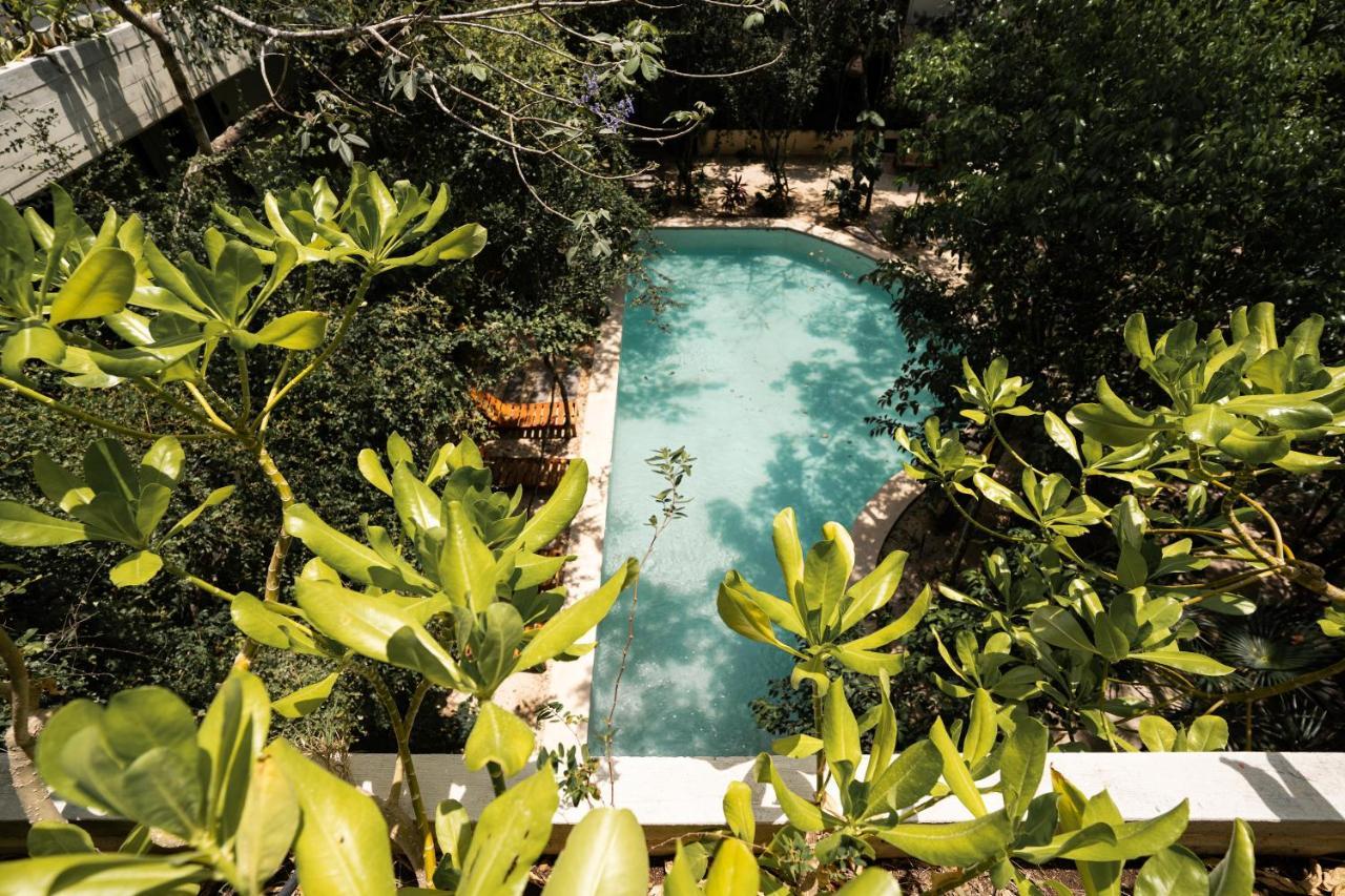 Casai - Boho-chic Penthouse With Private Pool In La Veleta Tulum