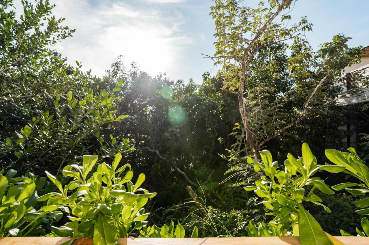 Casai - Kil Spacious Retreat In La Veleta, - Private Plunge Pool, Gym Apartamento Tulum
