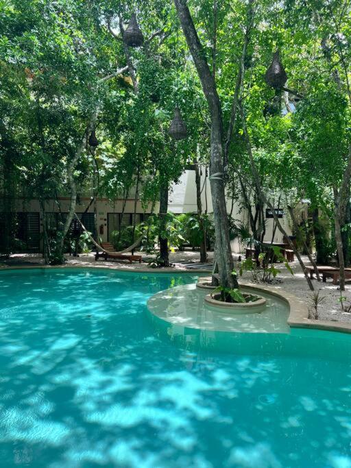 Apartamento Jungle View 2bed 2bath Condo/ Wi-fi/ Pool/ Gym *