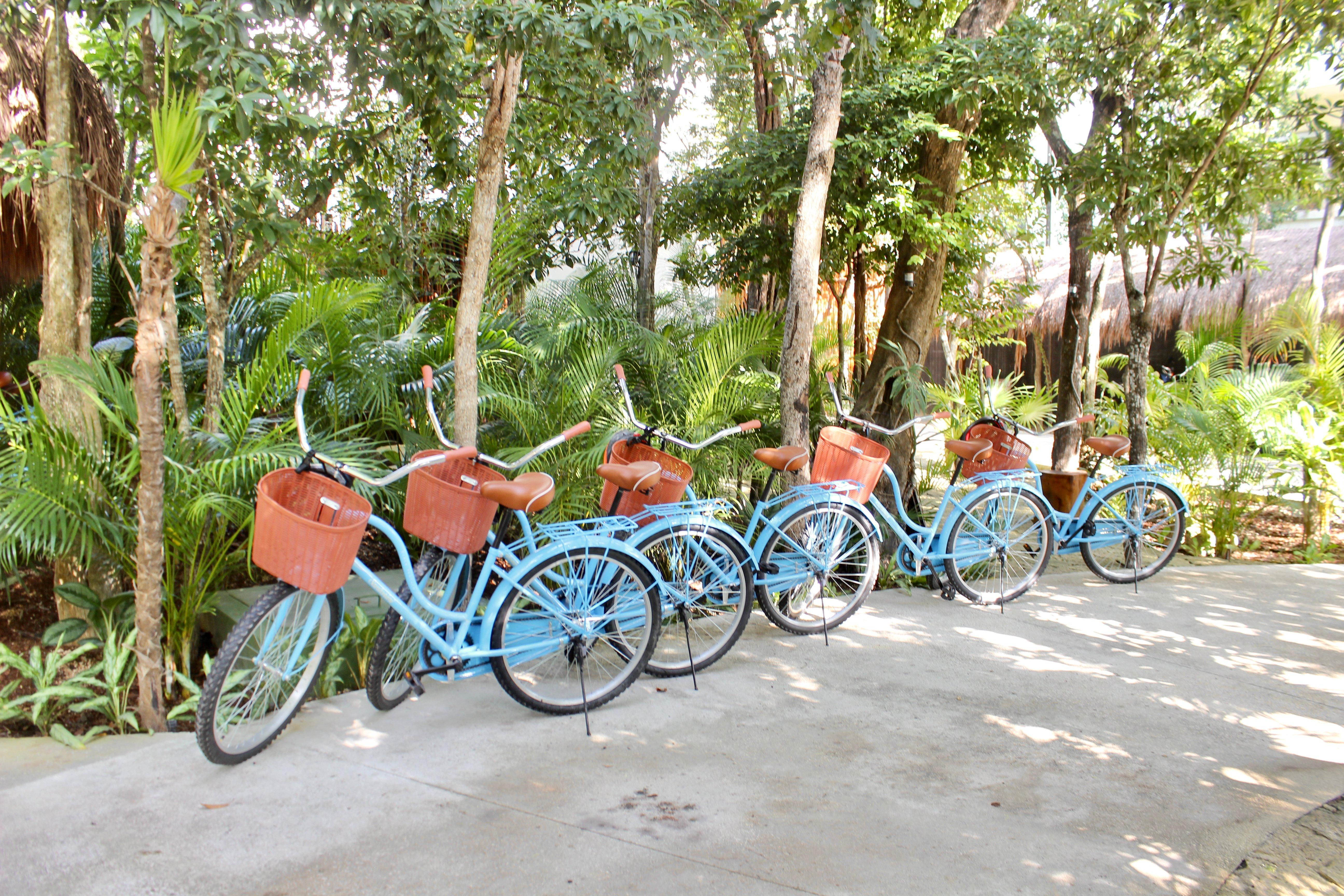 Kimpton Aluna By Ihg 5* Tulum