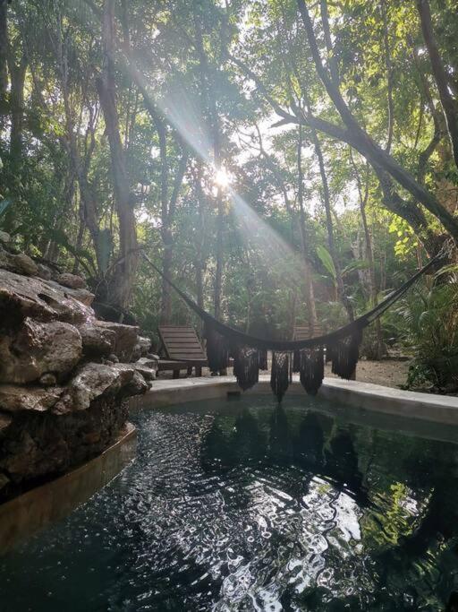 Agua & Selva Luxury Jungle Loft Apartamento