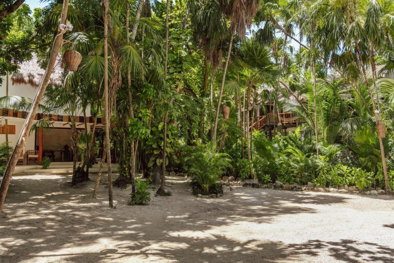 Dos Ceibas - Massage & Yoga Inclusive Tulum