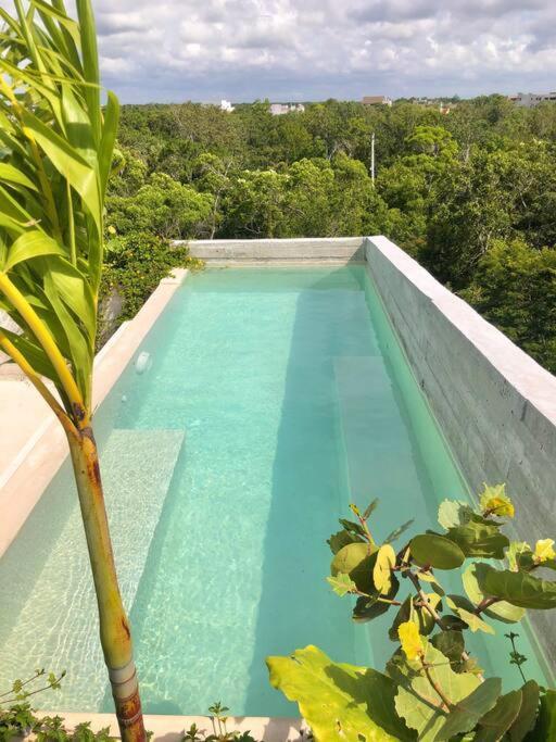 Apartamento Ph Totally Private Pool & Rooftop @ La Veleta D8