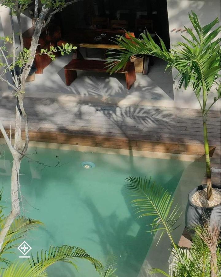 Xuncari En El Corazón De La Selva Tulum
