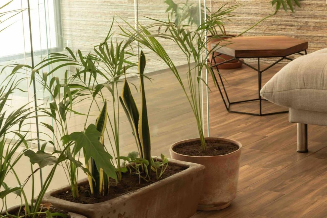Apartamento Lovely 2-bed In With Private Pool *