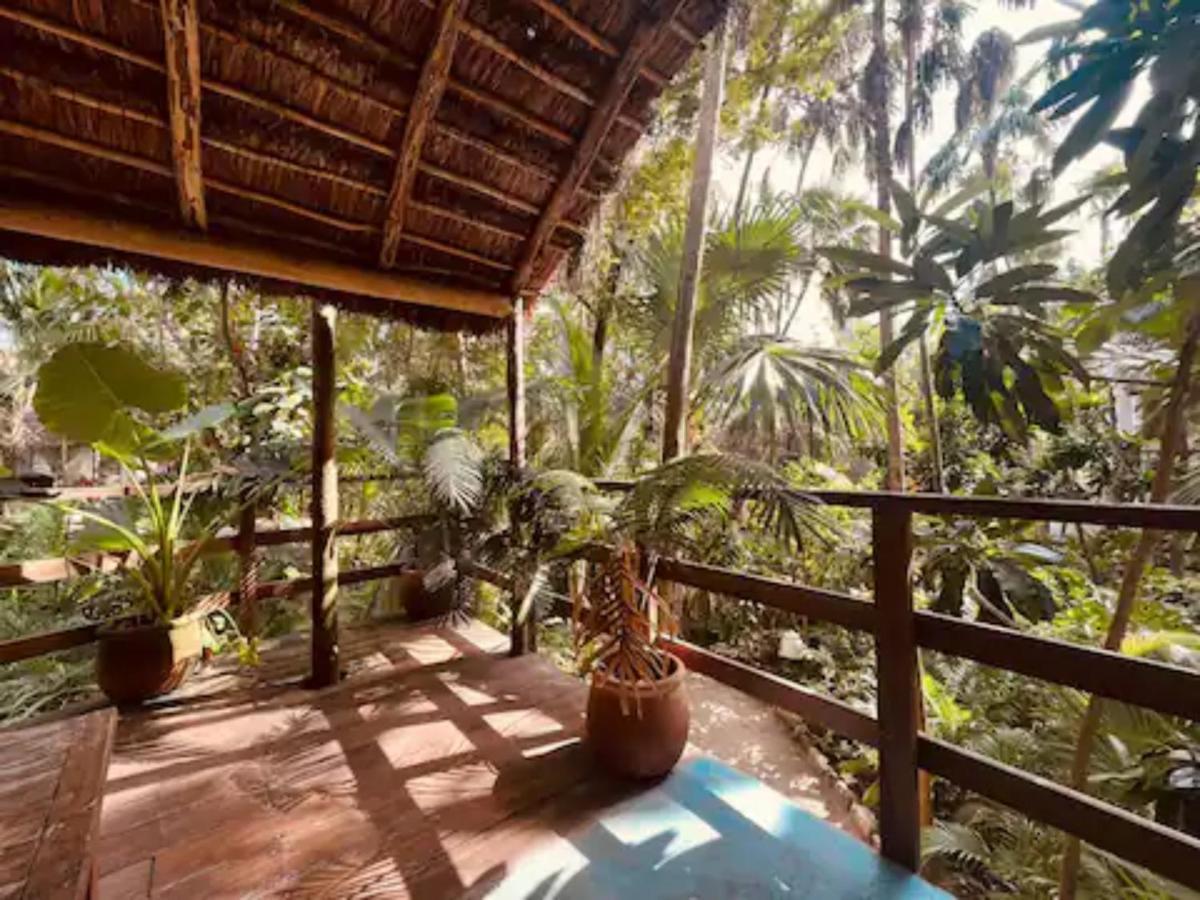 Dos Ceibas - Massage & Yoga Inclusive Hotel