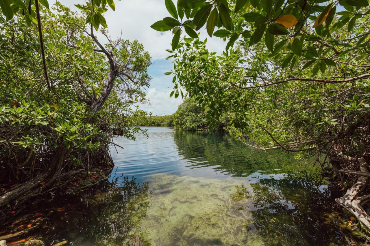Lodge Yaxchen & Cenote *