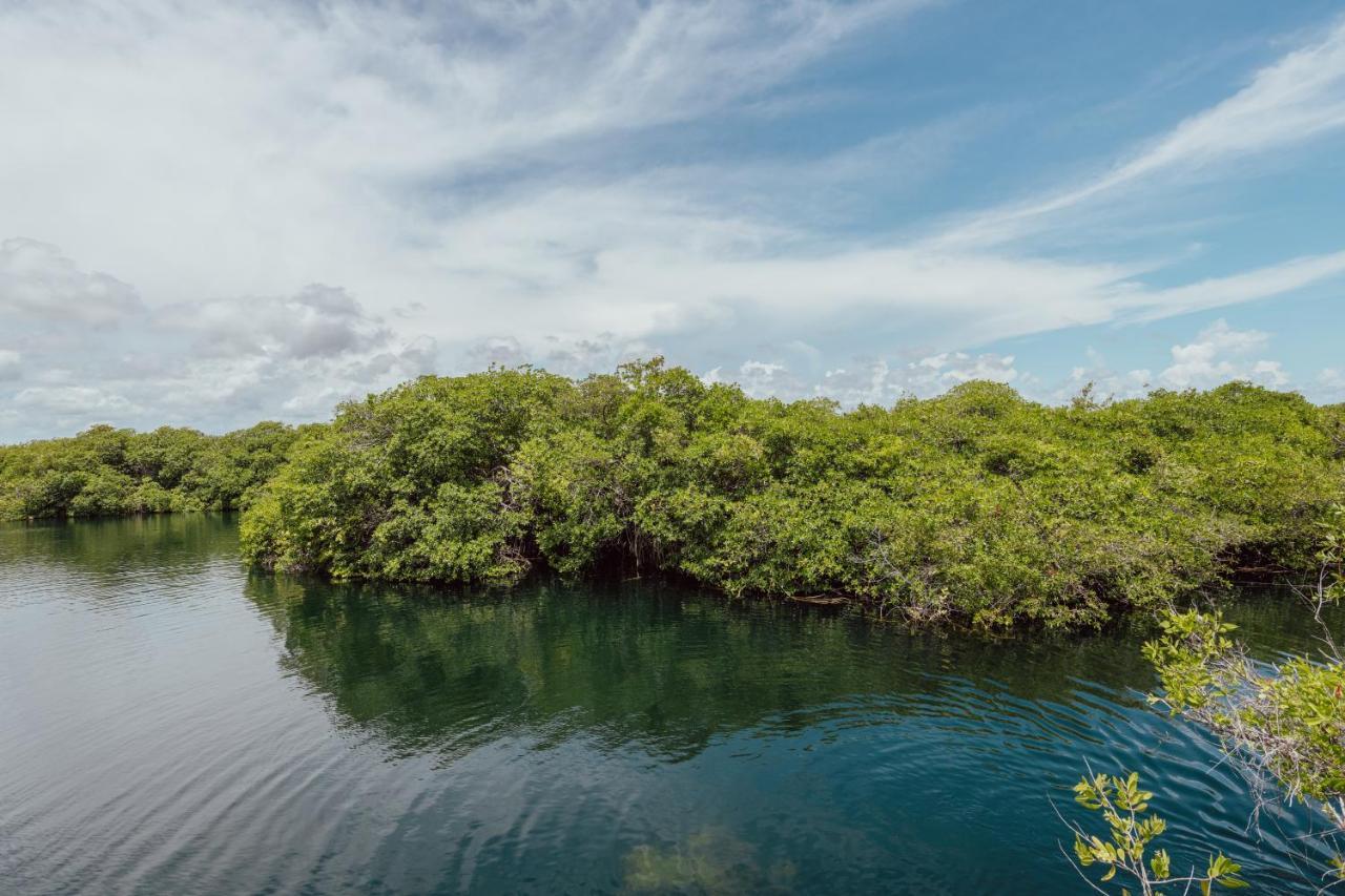 Yaxchen & Cenote Lodge *