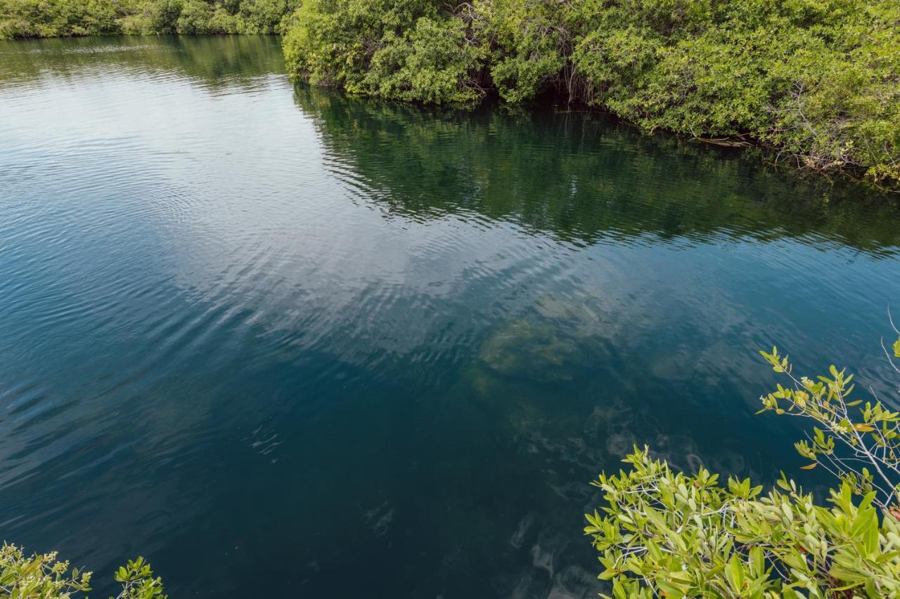 Lodge Yaxchen & Cenote *