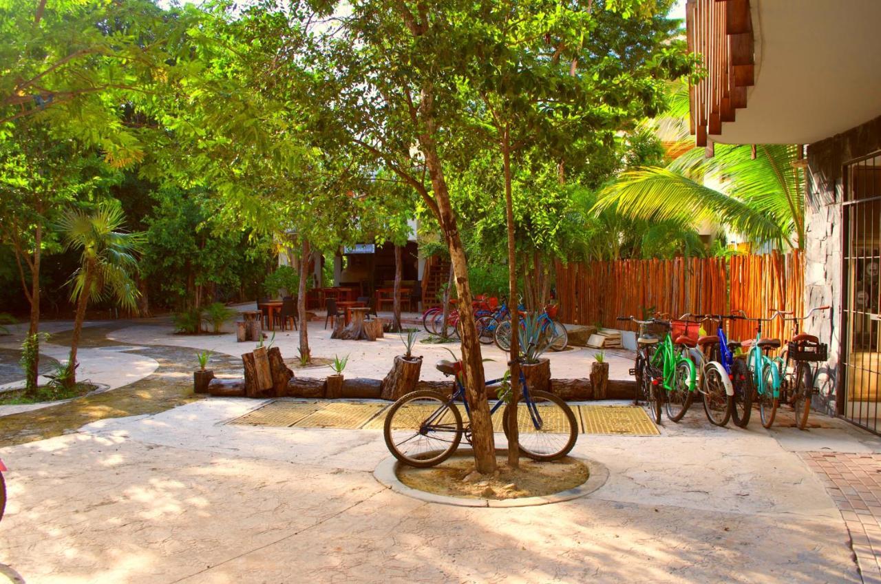 Phimai Fuego - Zen Studio * Tulum