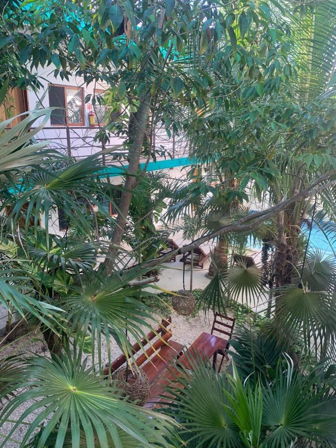 Arcos - Hotel 5*