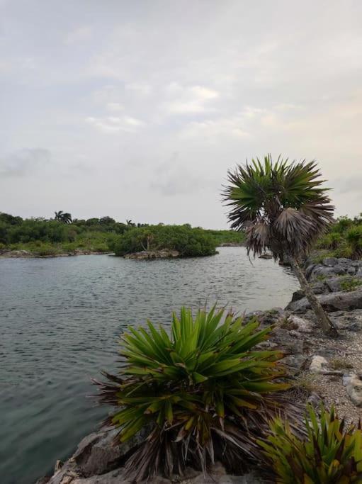 Apartamento Yalku - Private Access To Lagoon Tulum