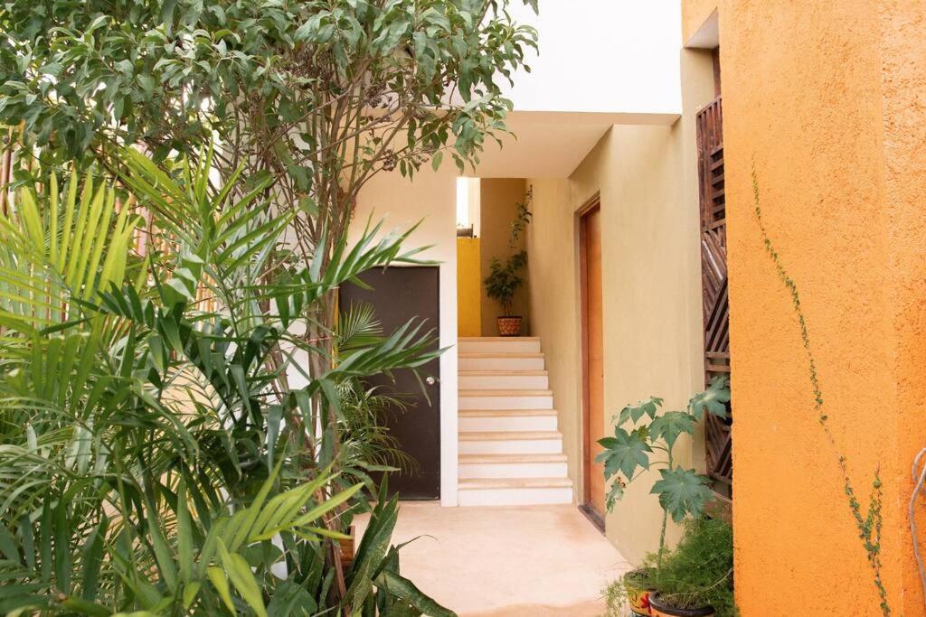 Shiny Casa Cacao/100mbpswifi Apartamento *
