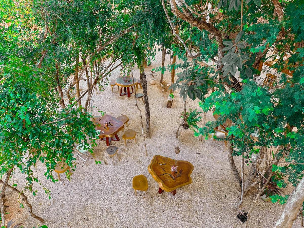 Penthouse Con Jacuzzi Privado, Cenotes, Piscinas, Gym Y Mas Tulum
