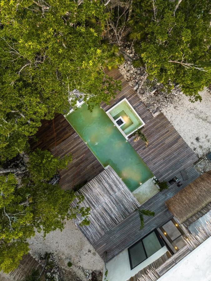 Xuncari En El Corazón De La Selva Tulum