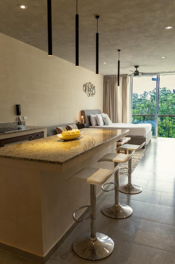 Private Pool And Rooftop For 3 Hotel Tulum