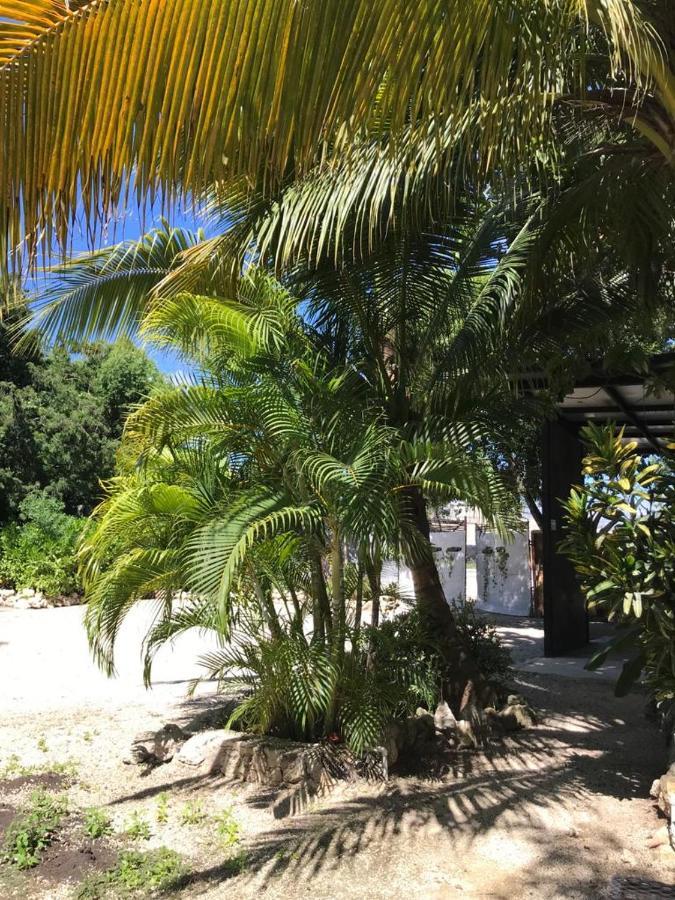 Veleta Hotel Tulum