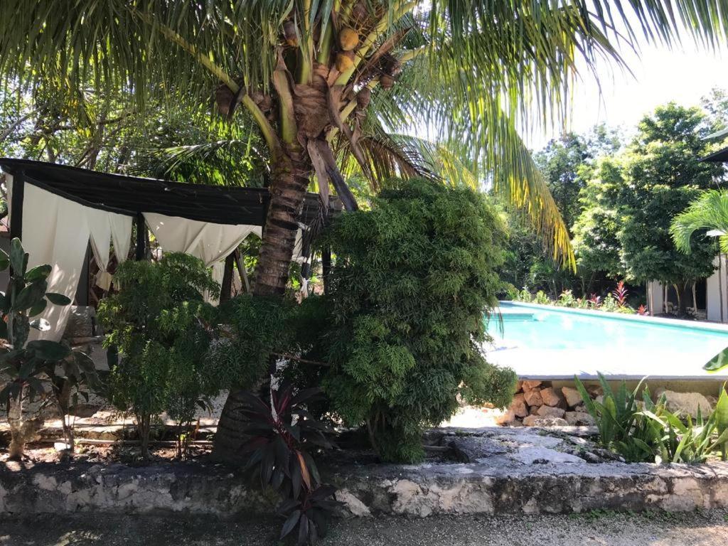 Veleta Tulum