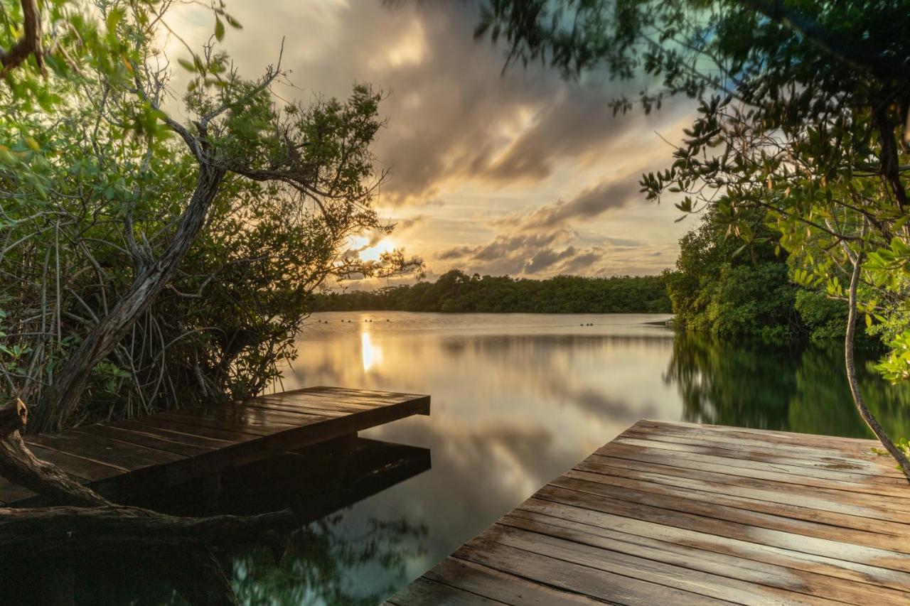 Yaxchen & Cenote Tulum