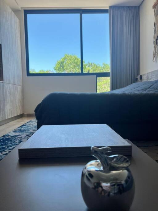 Apartamento Perfect Zama Loft, Pool&gym, Barbecue Area Tulum