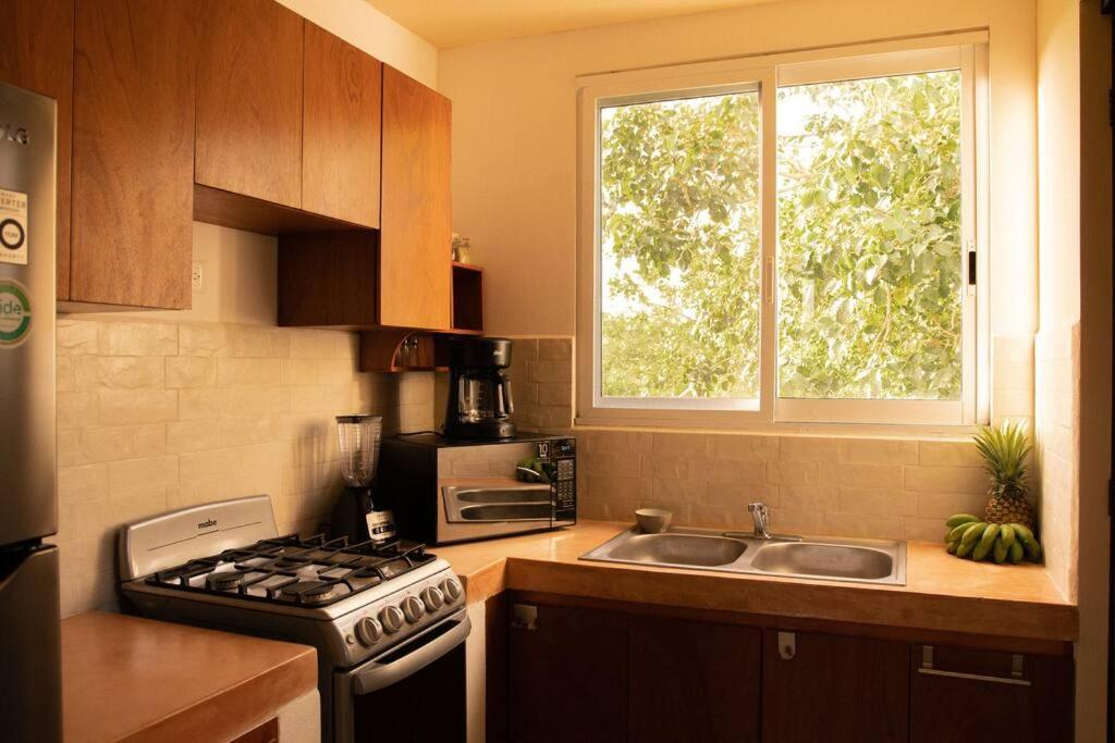 Apartamento Shiny Casa Cacao/100mbpswifi