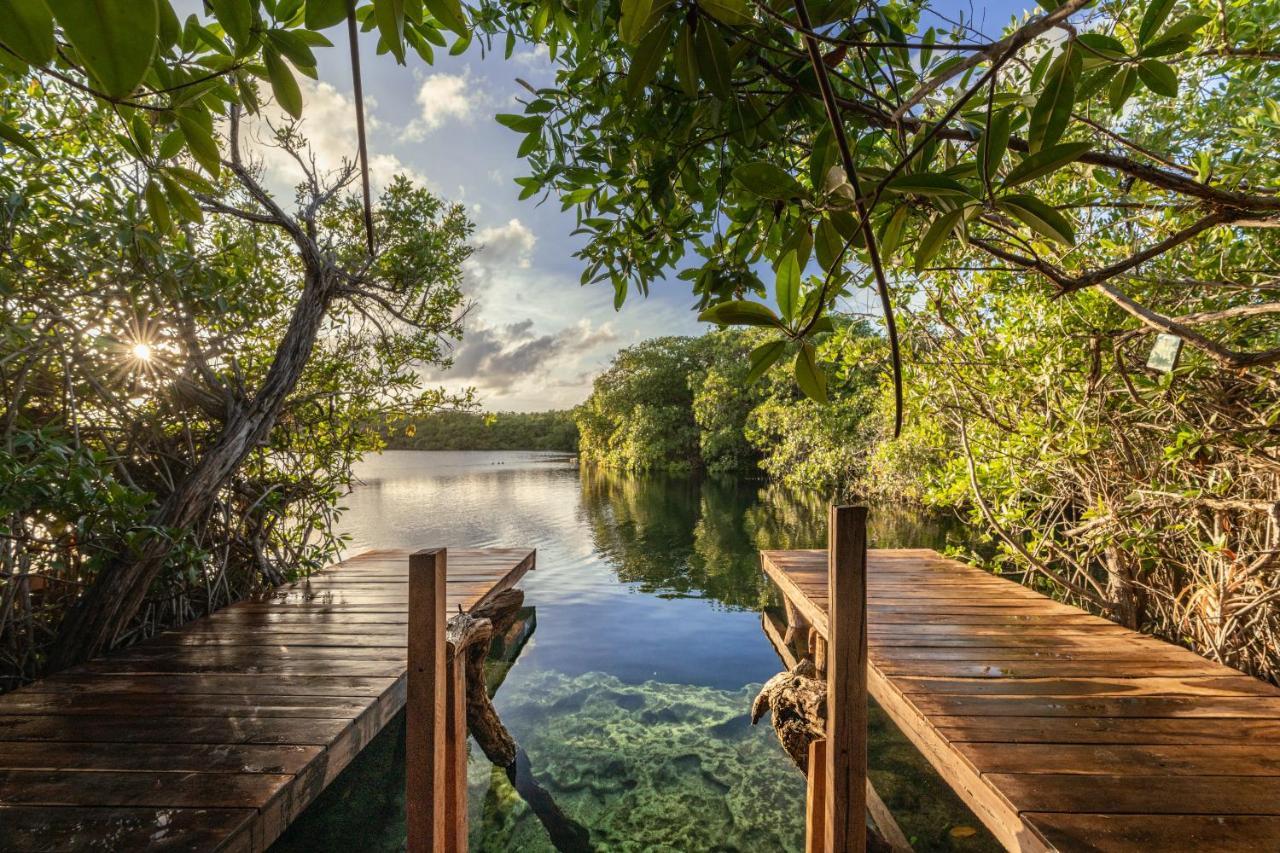 Lodge Yaxchen & Cenote Tulum