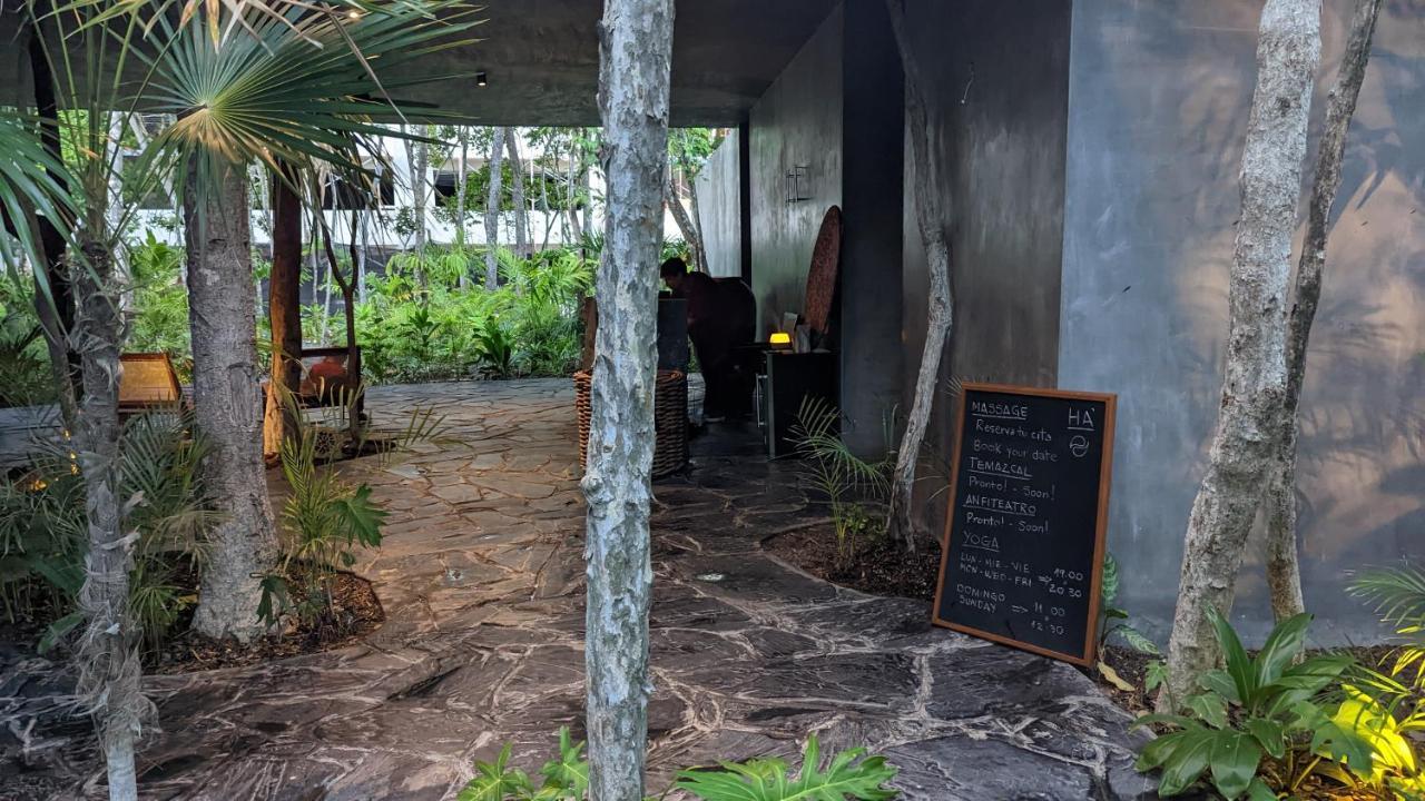 Apartamento Charming Jungle In Luum Zama With Pool By Yeah Tulum