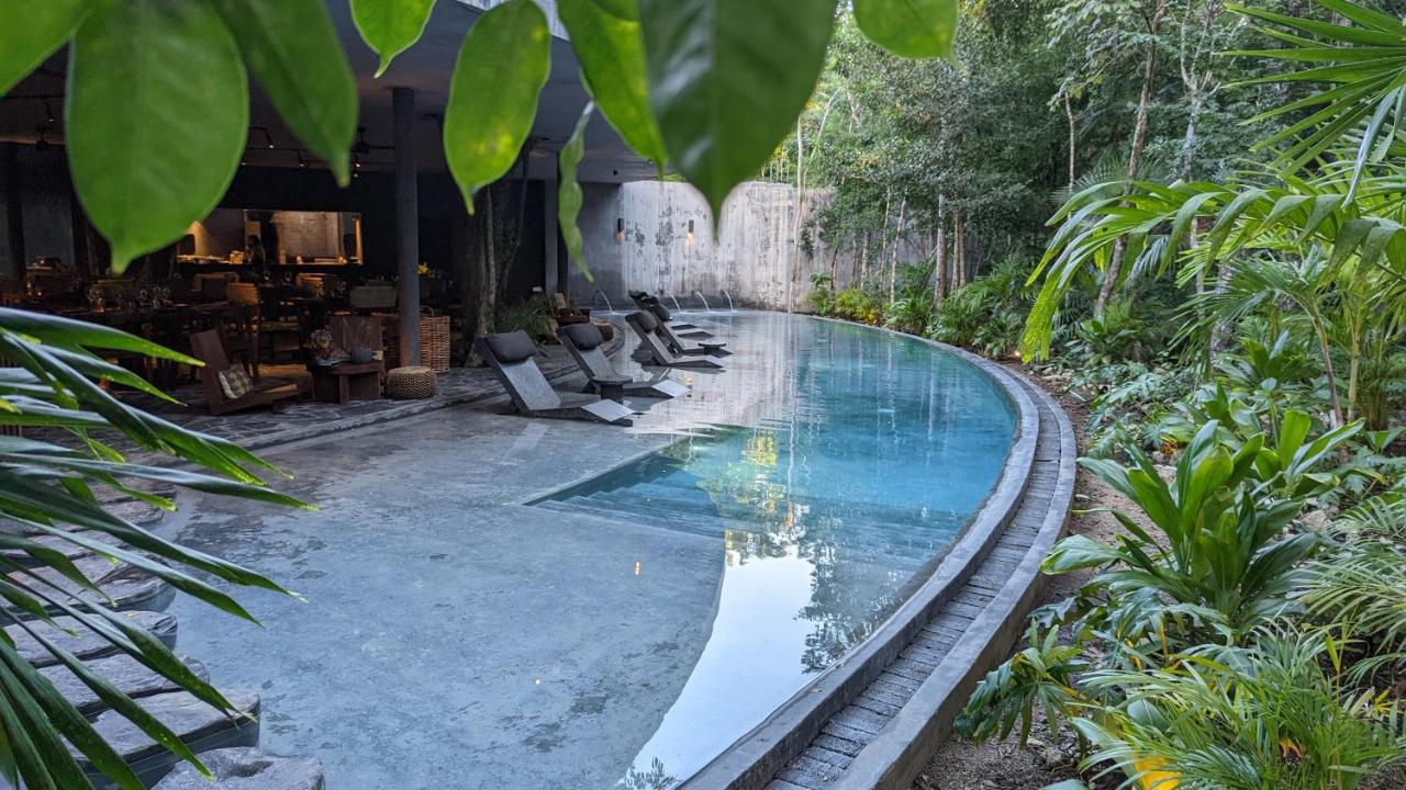 Charming Jungle In Luum Zama With Pool By Yeah Tulum