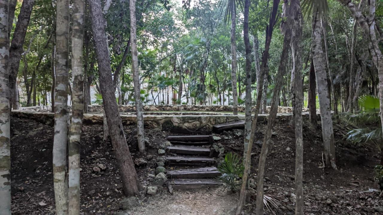 Charming Jungle In Luum Zama With Pool By Yeah Apartamento Tulum