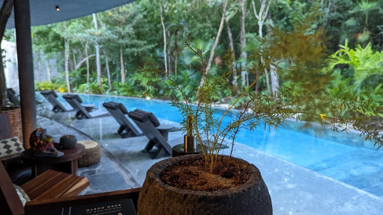 Charming Jungle In Luum Zama With Pool By Yeah Tulum