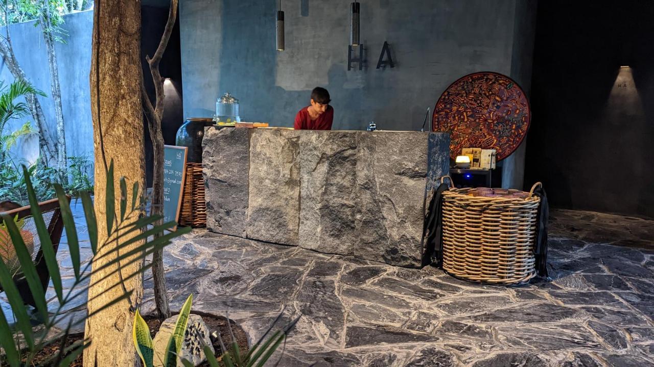 Charming Jungle In Luum Zama With Pool By Yeah *