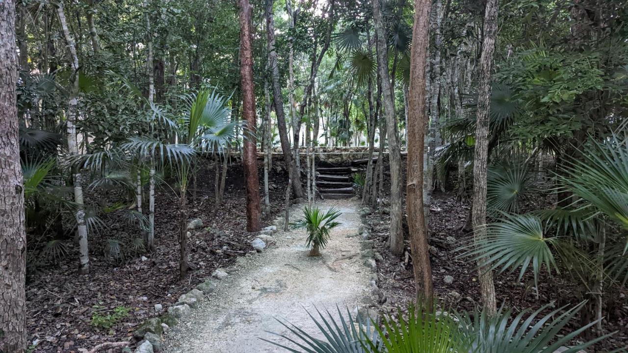 Charming Jungle In Luum Zama With Pool By Yeah Apartamento