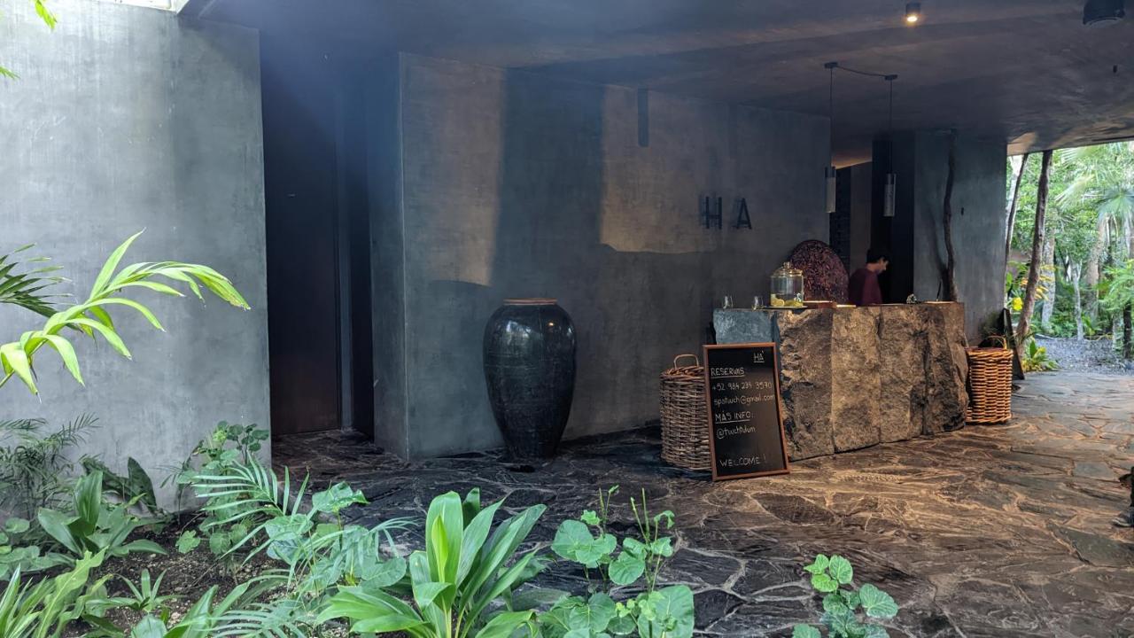 Apartamento Charming Jungle In Luum Zama With Pool By Yeah Tulum