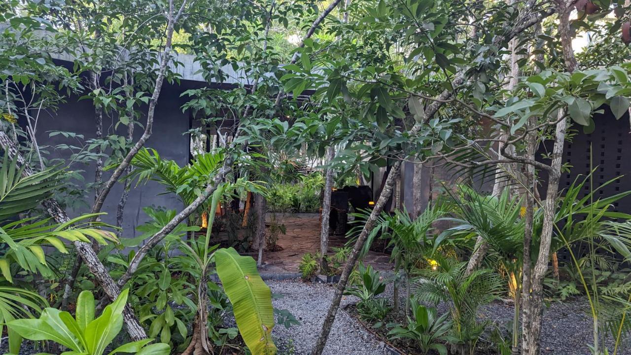 Apartamento Charming Jungle In Luum Zama With Pool By Yeah *