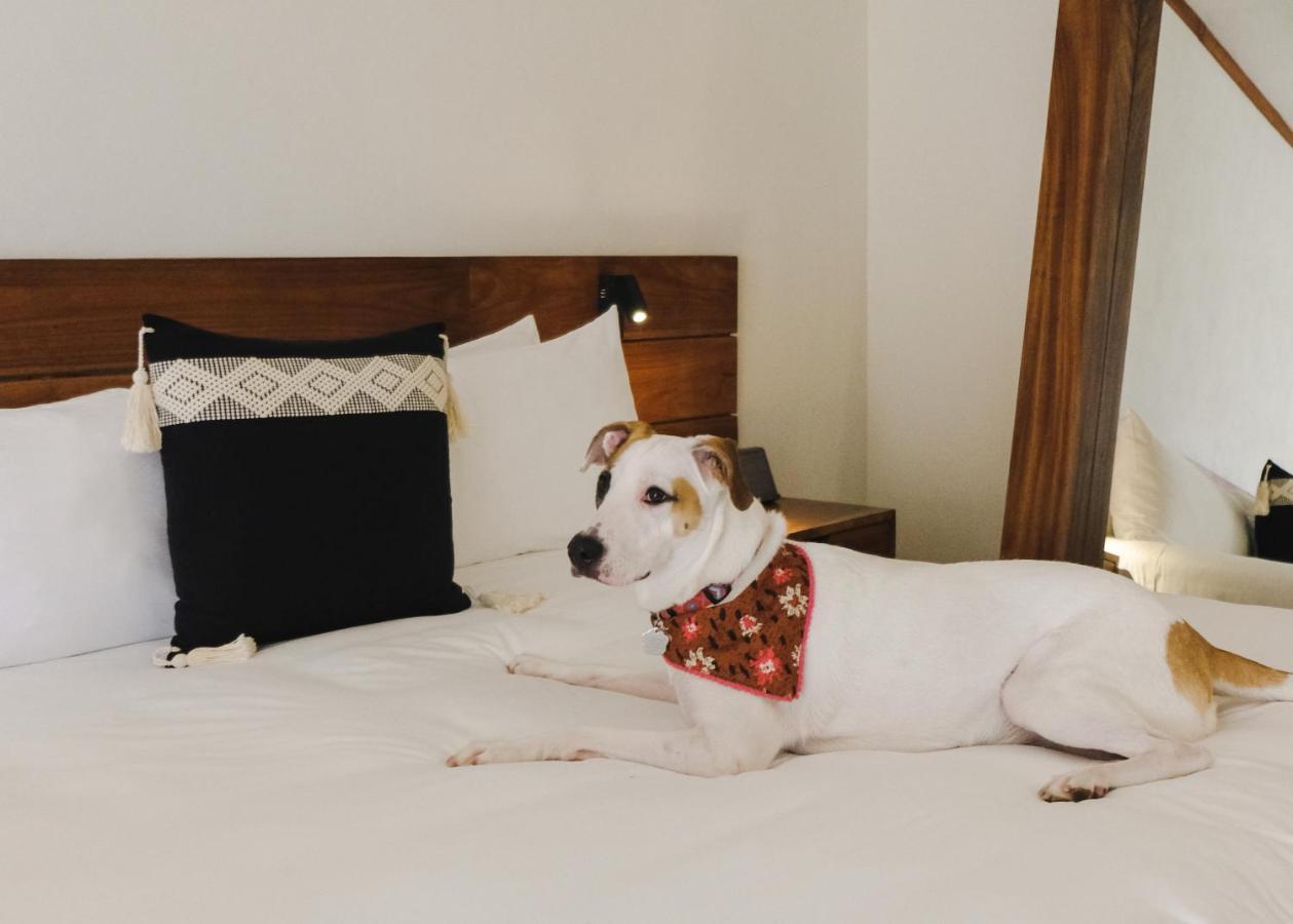 Kimpton Aluna By Ihg Hotel