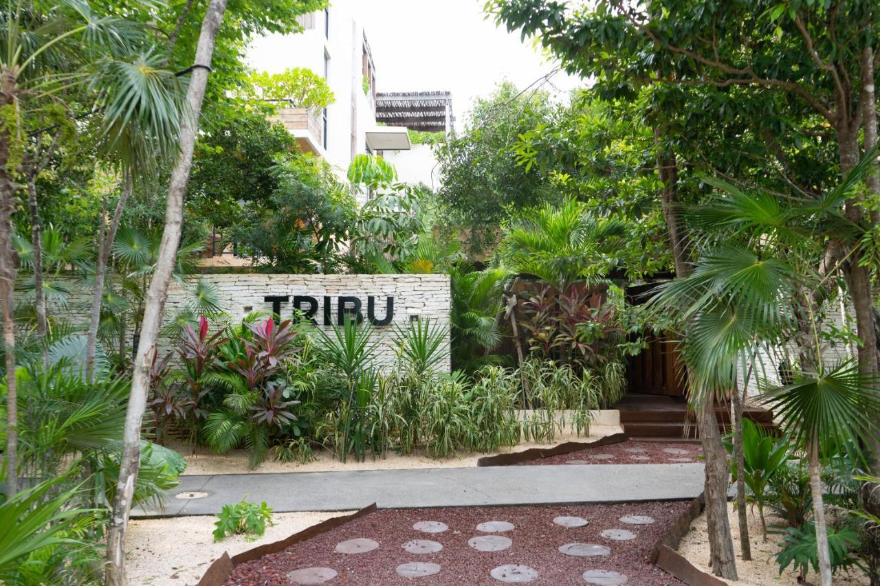 Apartamento Charming Jungle In Luum Zama With Pool By Yeah