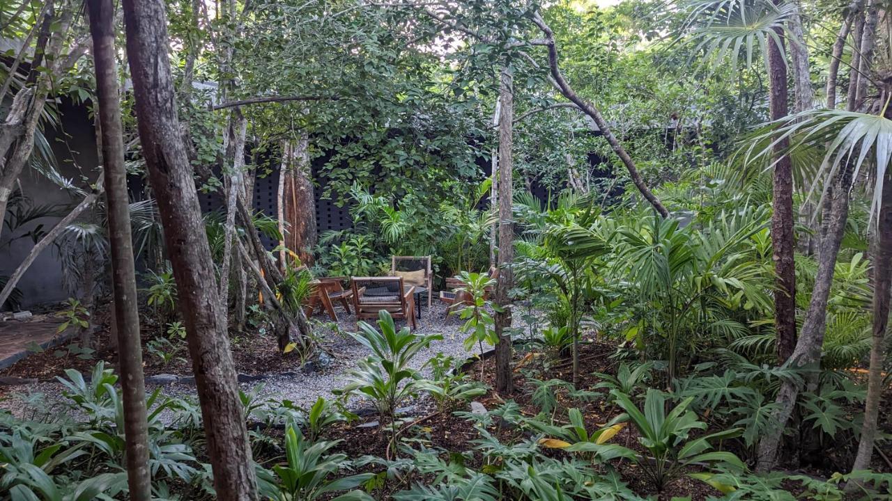Apartamento Charming Jungle In Luum Zama With Pool By Yeah
