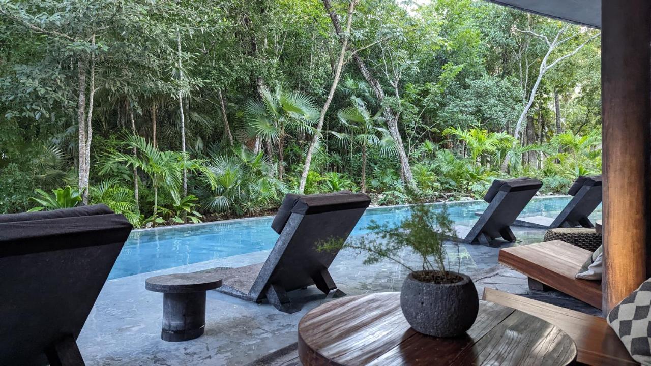 Apartamento Charming Jungle In Luum Zama With Pool By Yeah