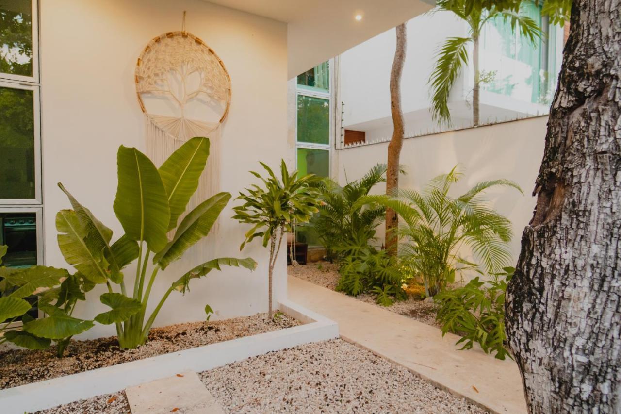 Ujo 100 Mb Wifi 2 Private Pools Villa Tulum