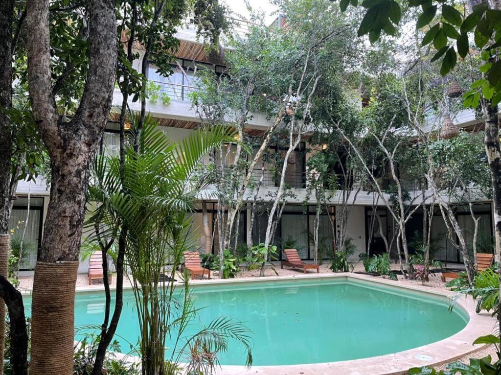 Apartamento Great In Ab5