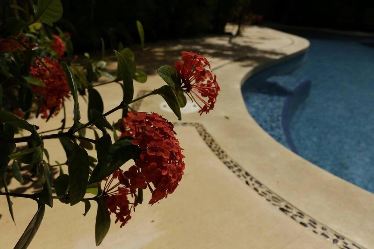 Aldea Zama Luxury Apartment- By Yeah! Apartamento Tulum