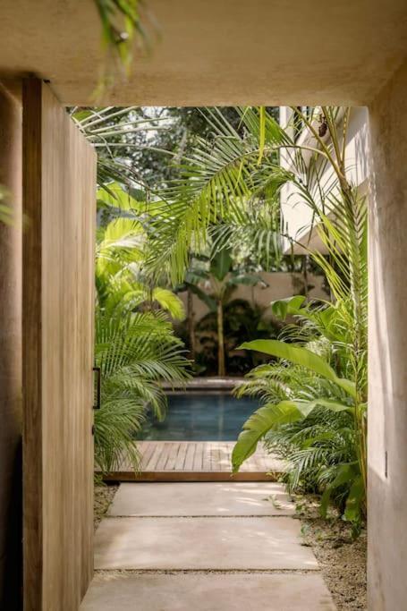 Villa Casa Areca: Award-winning Architectural With Concierge Tulum